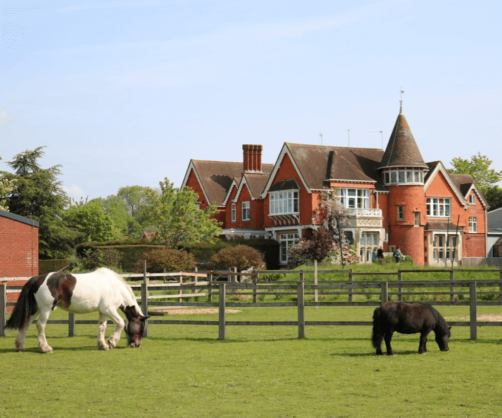The Loddon School's large red brick building with a distinctive conical turret in the background. In the foreground, a black-and-white horse and a small black pony graze peacefully in a grassy paddock enclosed by a wooden fence.